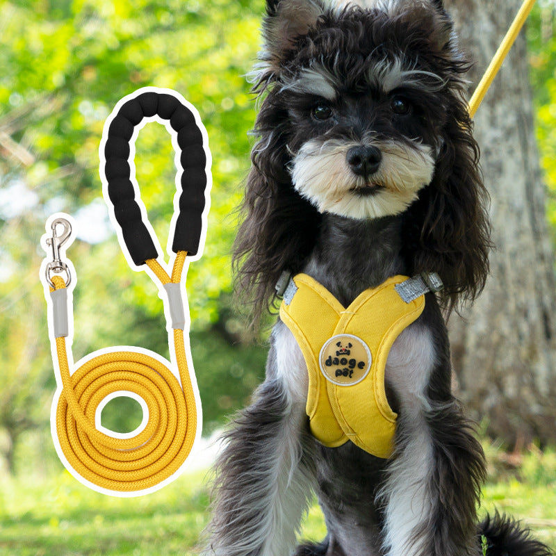V-Neck Harness & Leash Set for small dogs