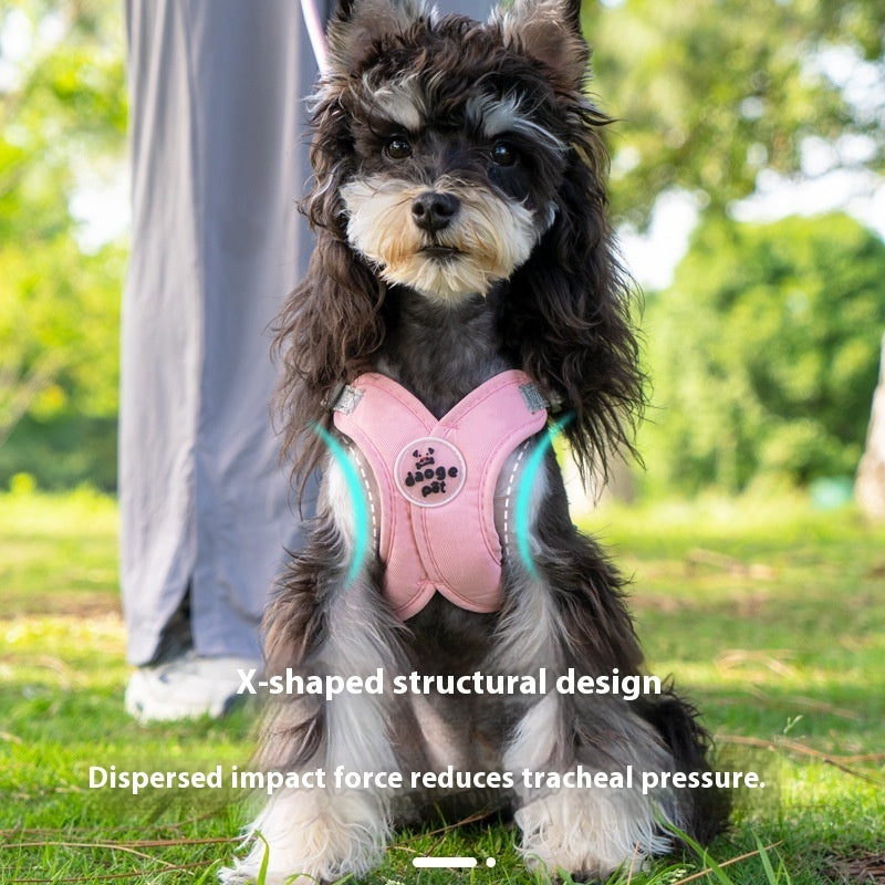 V-Neck Harness & Leash Set for small dogs