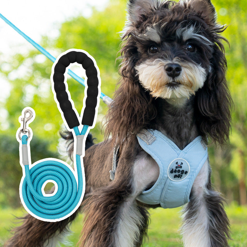 V-Neck Harness & Leash Set for small dogs