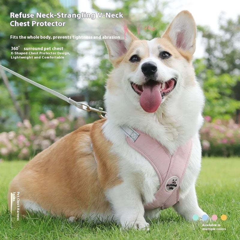 V-Neck Harness & Leash Set for small dogs