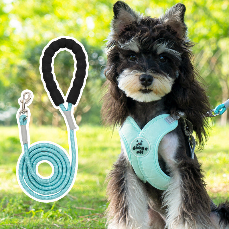 V-Neck Harness & Leash Set for small dogs